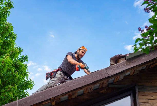 Best Roof Leak Repair  in St Joseph, IL